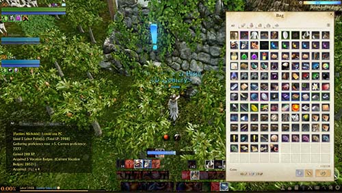 Archeage Fantasy Guides